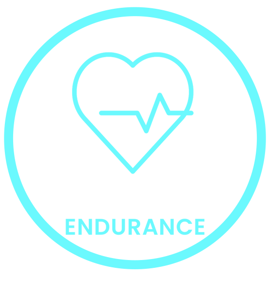 Icone endurance